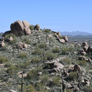 Landscape 5
